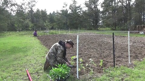 Homestead Garden Planting And Some Packages Arrived