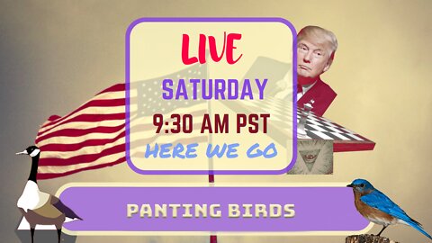 Saturday *LIVE* Panting Birds Edition