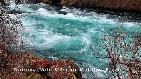 Turquoise River Fever & THE TRUE OG of Infinity Pools @ Mighty Metolius River! | Central Oregon | HD