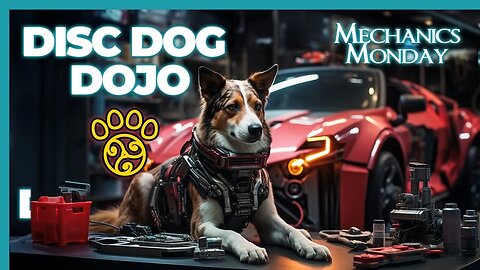 Mechanics Monday: Mastering Juggle, Engagement, and Flatwork | Episode #109 DiscDog Dojo 🐶🥏🔧🥋