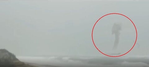 5 Huge Sea Serpent Caught on Camera