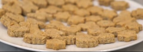 Homemade Dog Treats