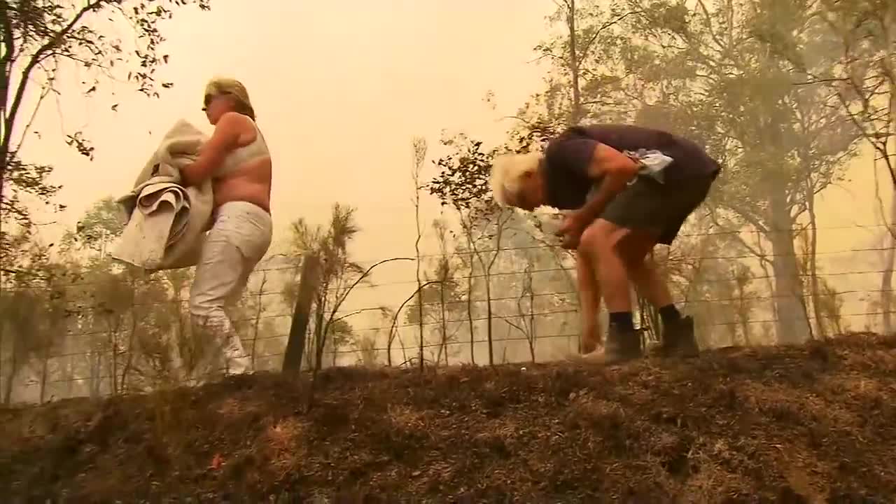 VIDEO: Woman saves koala from bushfires in Australia