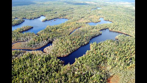 Cabot from Don't Spray Nova Scotia : Our Forests are being clear cut, then sprayed with Glyphosate!