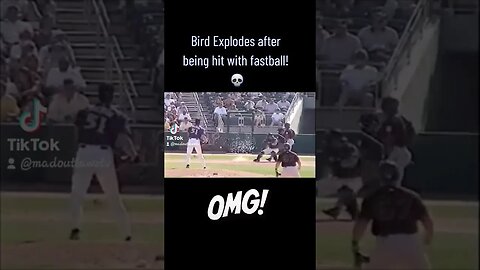 Bird meets fastball! 🤯