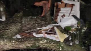 Digital Short: Storm topples tree, destroys home in Citrus County