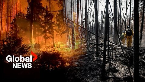 Future of wildfires: What will happen to Canada's scorched forests as fires worsen?