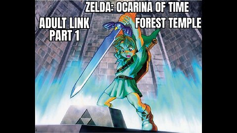 Zelda: Ocarina Of Time, Adult Link, Forest Dungeon