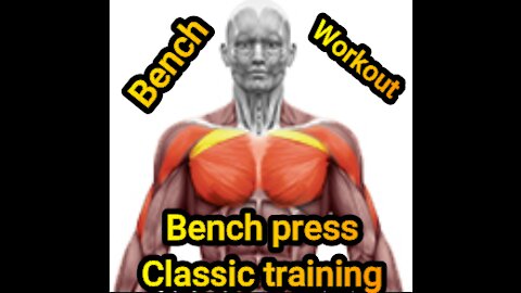 Bench Bress classic full training تمرين صدر كلاسيكى كامل يستهدف العضلات العريضه