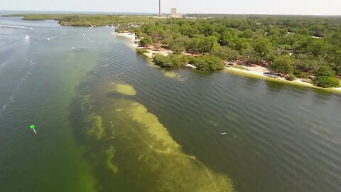 Do you love to see a pair of Dolphins Cruising the Anclote River?