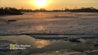 Birds chirp as the sunrises over icy waters