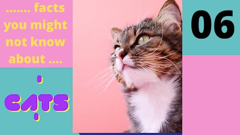 Amazing Facts You Might Not know About Cats - Part 6 of 25