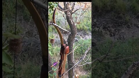 Shoot or Pass? Opening morning in the stand with your recurve bow and this buck walks by..😳