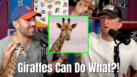 GIRAFFE'S CAN DO WHAT TO HUMANS?! 🦒😳