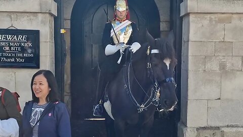 Another one did not read the sign #horseguardsparade