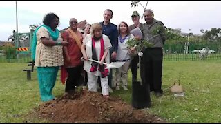 VIDEO: BRICS delegation plants trees in honour of Mandela, Gandhi (5Ab)