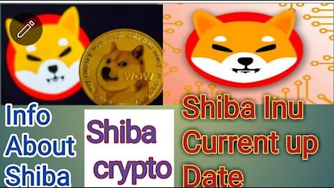 Shiba inu coin info|What is shiba inu coin|new update shiba inu coin