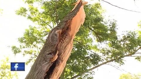 National Weather Service: Tornado hit northeast of Campbellsport Monday evening