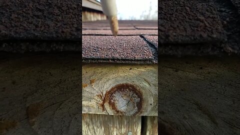 roof scratching & tracing with some spikey object