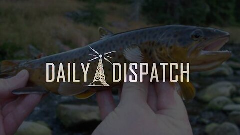 Daily Dispatch: Trout Addicted To Meth