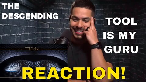 Tool - The Descending (Reaction!) | The song I needed to hear