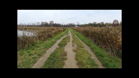 Tama na rzece Jeziorce (jesień 2021) - Dam on the Jeziorka river (autumn 2021)