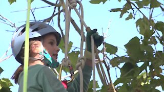 Canopy Watch brings tree climbing to the City of Trees