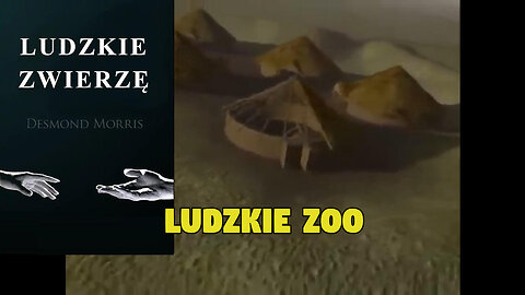 Ludzkie Zwierzę - Ludzkie zoo | Desmond Morris | cz. 3