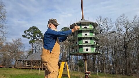 Purple Martin Birdhouse; Homemade Owl and Hawk Guard