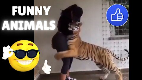 FUNNY ANIMALS YOU LOVE TOO MUCH