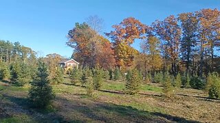 quick walk through a farm in West Bridgewater