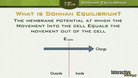 006 Donnan Equilibrium and Driving Force