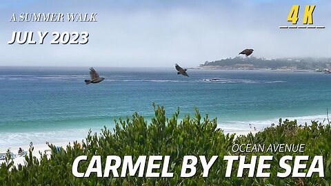 This is the reality of life in Carmel, CA!