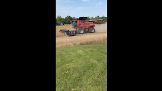 Harvester Combine in action