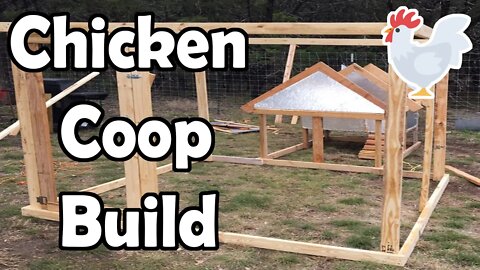 Chicken Coop Build!!