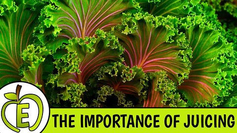 The Importance of Green Juices