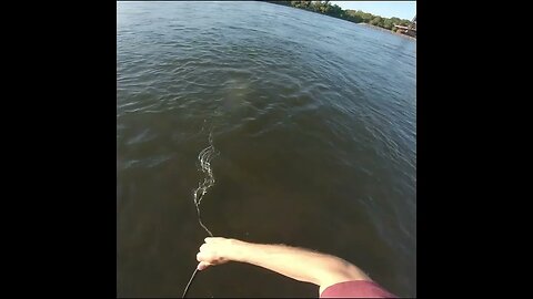 cast netting the river