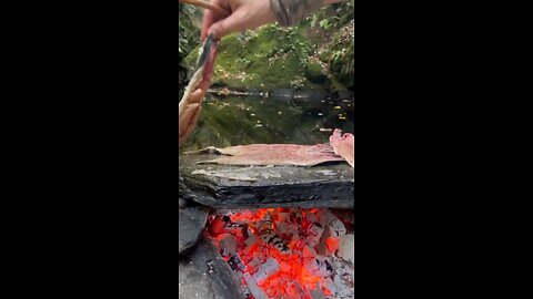 Black Sea Explorer Preparing Bonito Fillets in The Forest