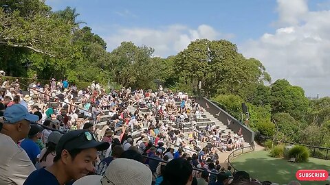 4k Taronga zoo, sydney bird show