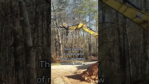 Clearing Land for Flowers, Vegetables, and Chickens