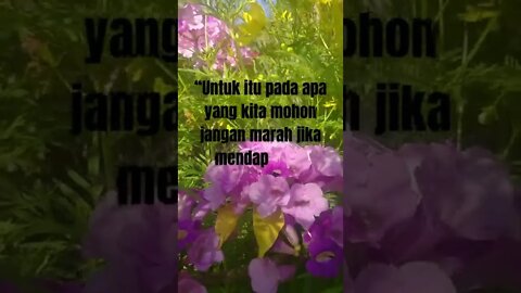 Kata Motivasi "JANGAN MARAH JIKA KURANG" #shorts #katakatabijak