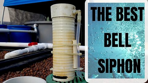 THE BEST BELL SIPHON- bell siphon not breaking, fixing a bell siphon (hybrid aquaponic system)