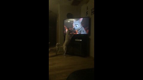 Dog Watching animated dog