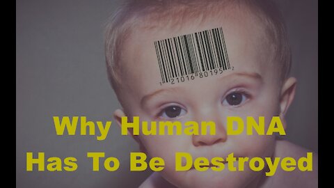 The Plan to "Phase Out" Our DNA