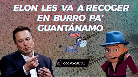 [08SEP2024] ELON LES VA A RECOGER EN BURRO PA’ GUANTÁNAMO [GOCHO.OFICIAL]