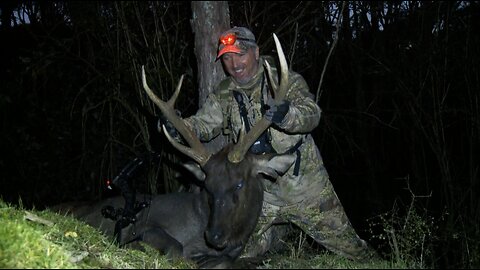 Bow Hunt the Sambar Stag of New Zealand