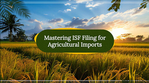 Navigating ISF Filing for Commodities Imports