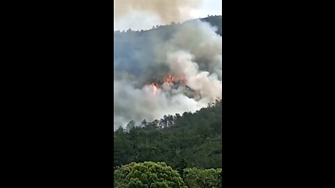 Powerful visuals china crash- A #Boeing-737 flight carrying 133 people #crashed in Tengxian China