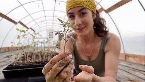 That Storm came out of Nowhere!! [Planting Tomato plants & Medicinal Herbs]