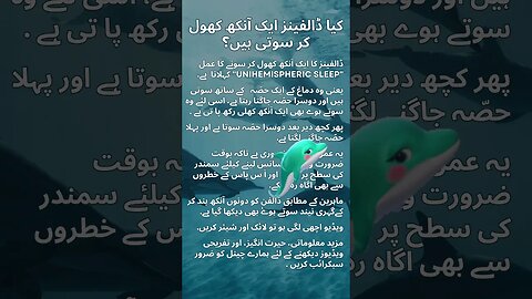 Dolphin sleeps with one eye open #funny #interesting #facts #shorts #Urdu #Hindi #viral